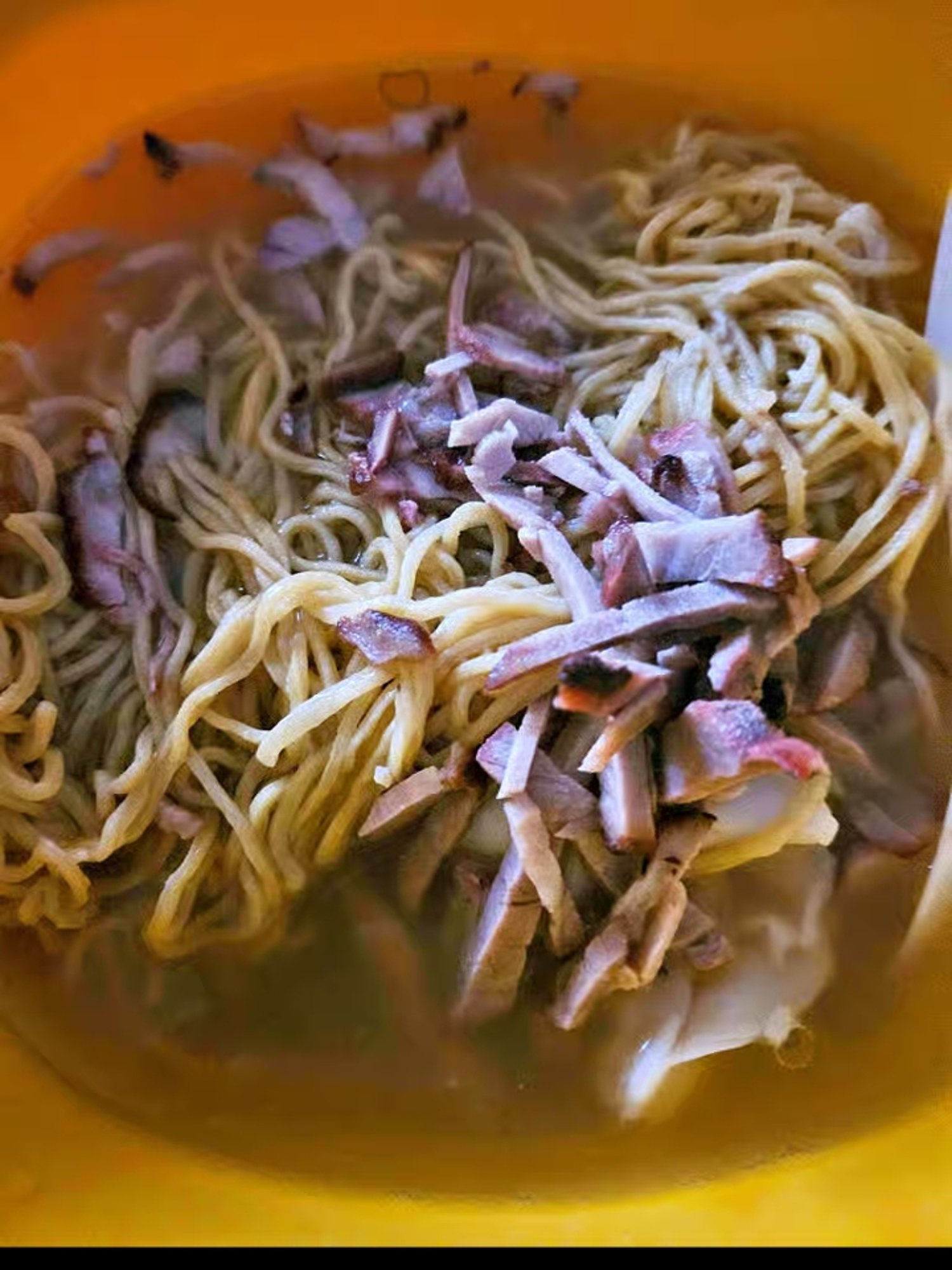 Wonton Egg Noodle Bowl Soup