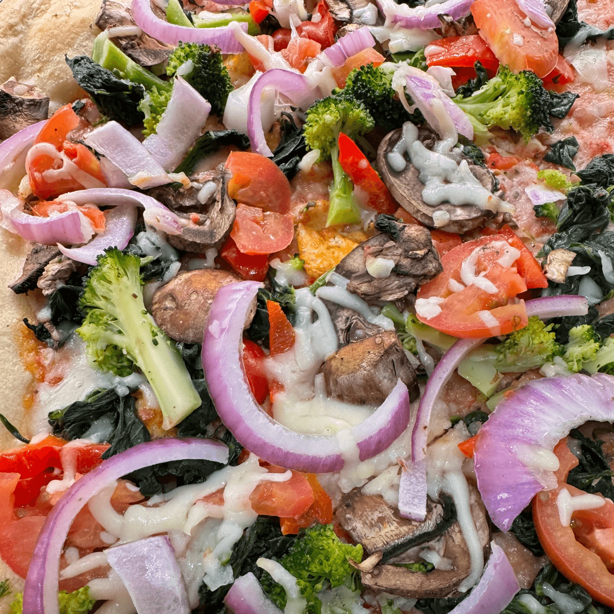 Vegetarian Pizza