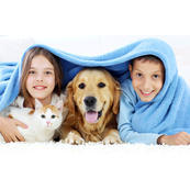 Clarkston Veterinary Clinic