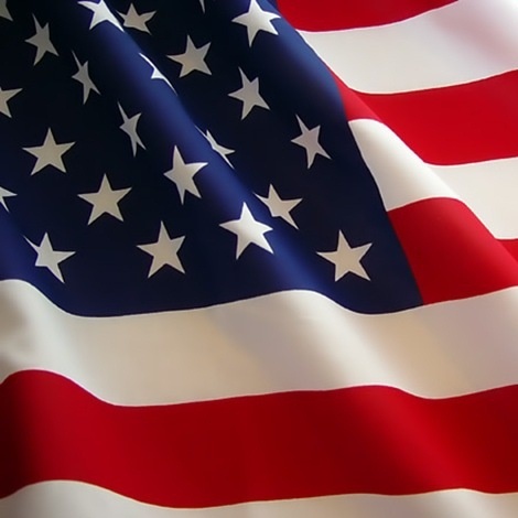 A1 AMERICAN INSURANCE AGENCY INC Logo