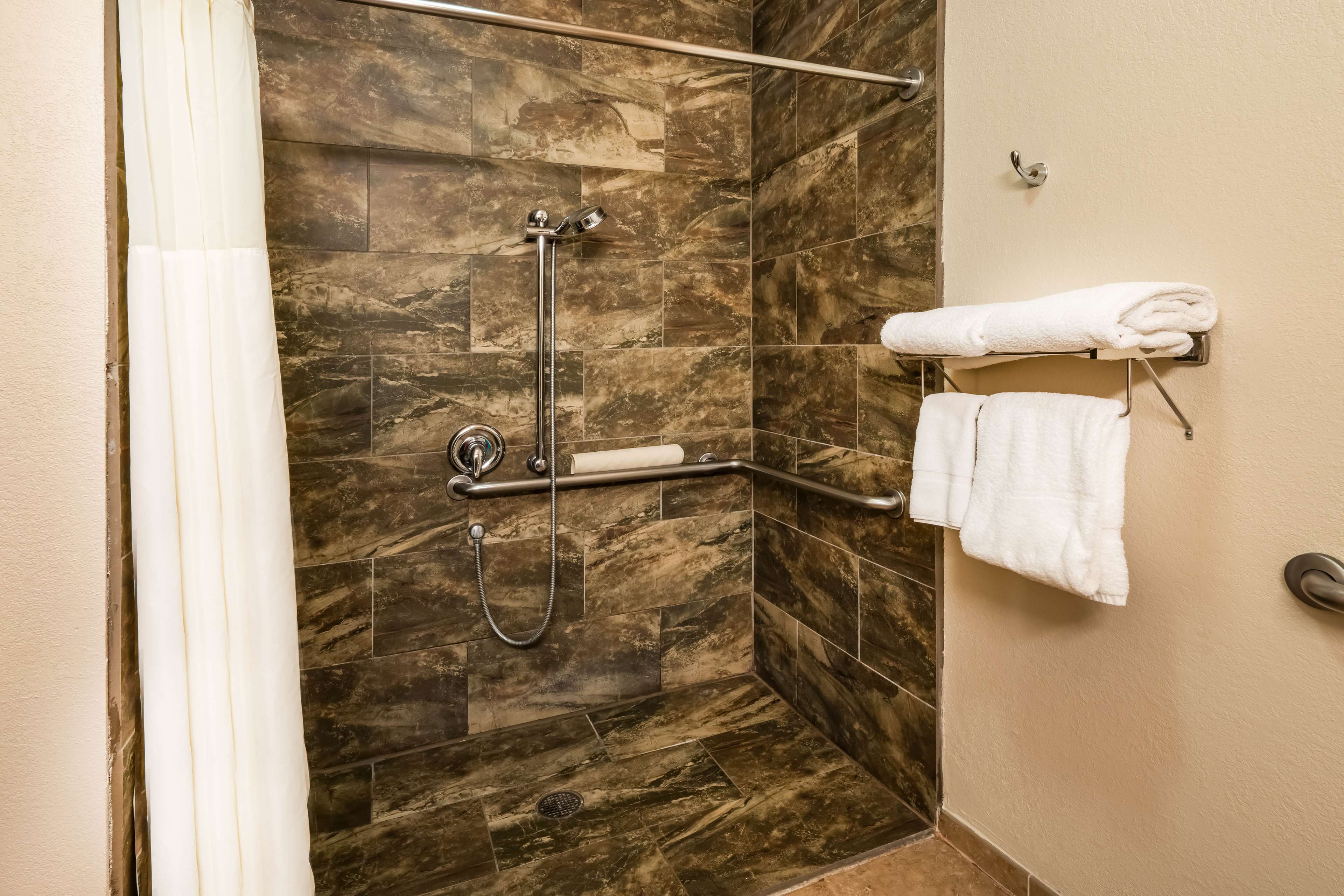 Accessible Room w/ Roll-in Shower