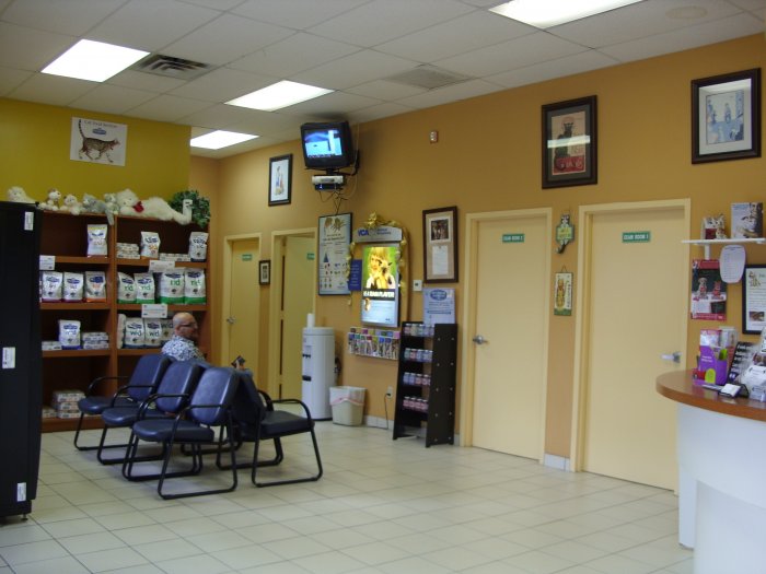 VCA Boca Greens Animal Hospital Photo