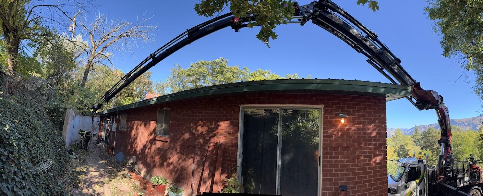 Clean Cuts Trees Image