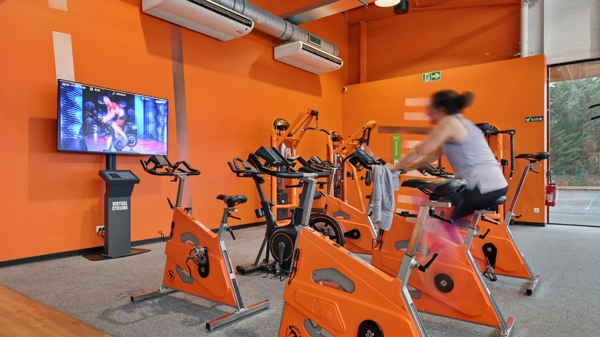 Miniature de la galerie