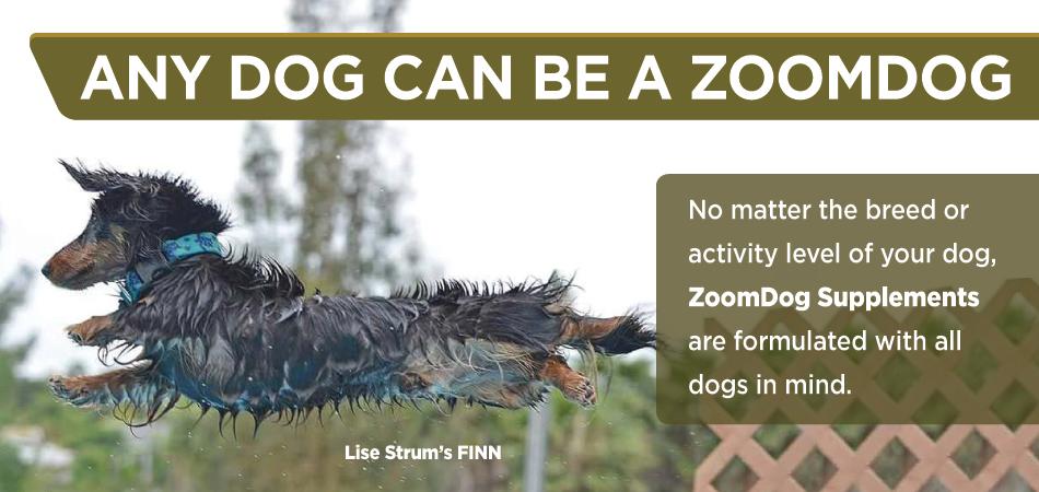 ZoomDog Supplements Photo