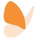 CDS Wolf Foundation