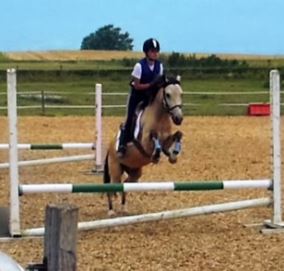 Cours & camps