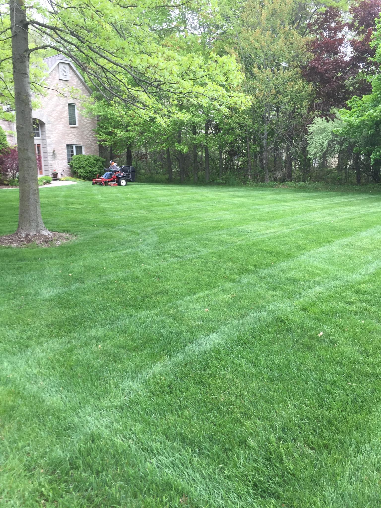 Nicolas &amp; Maria Mowing Logo