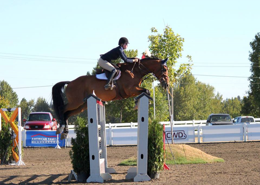 Countryside Equine Veterinary Service Photo