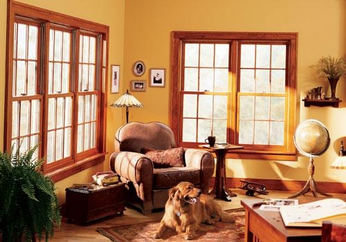 Double Hung Windows