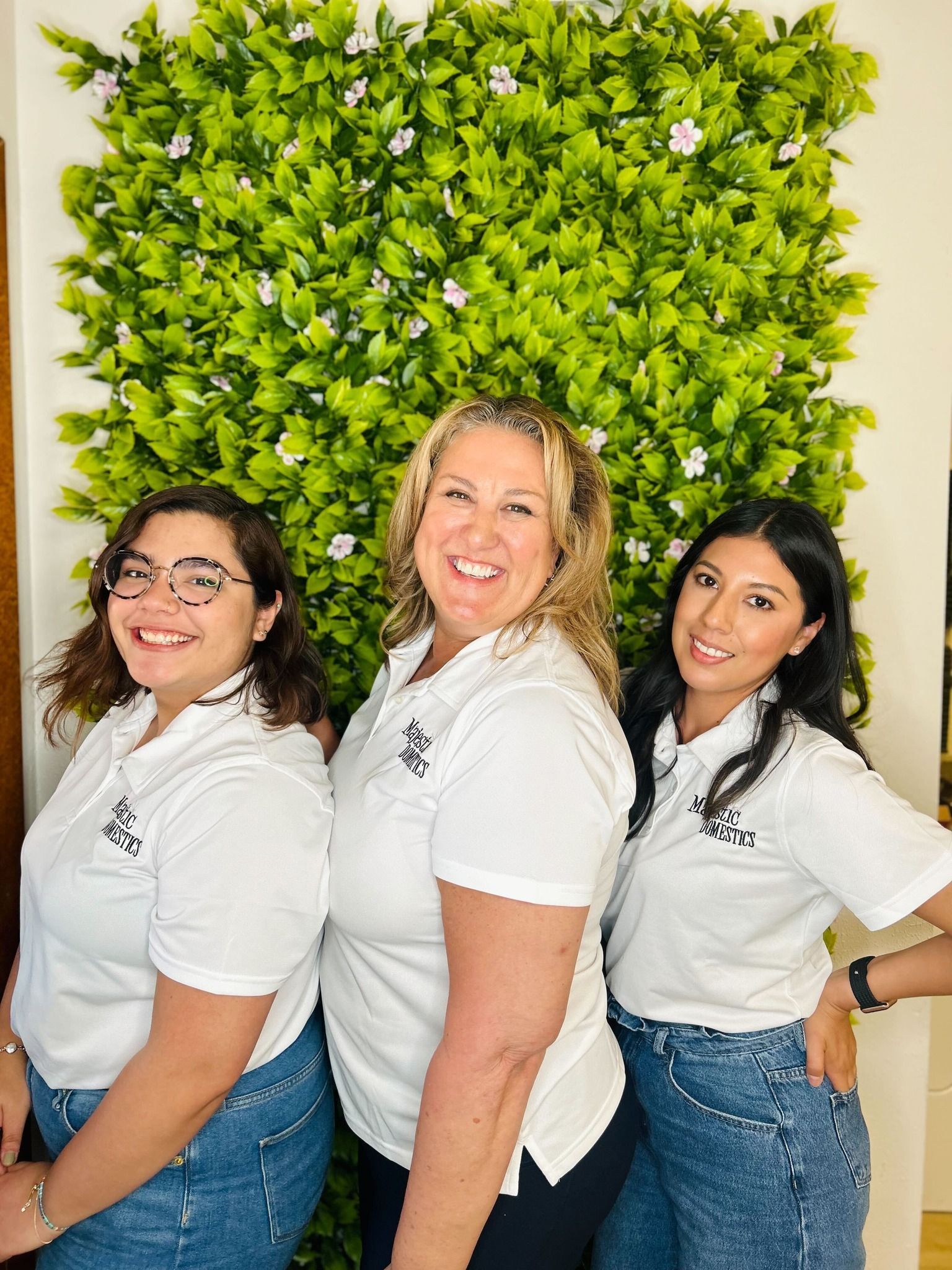 Majestic Domestics Cleaning Service Image