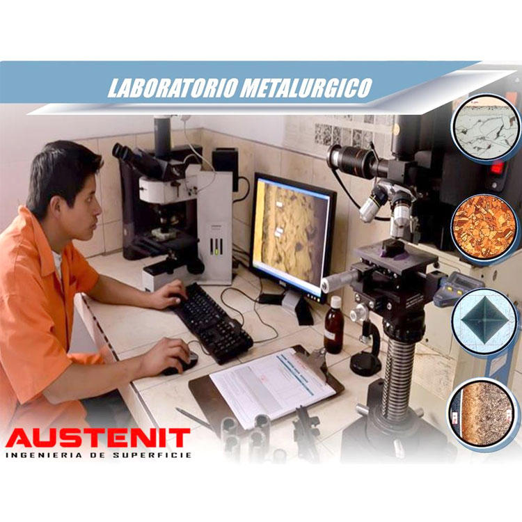 Galería en miniatura