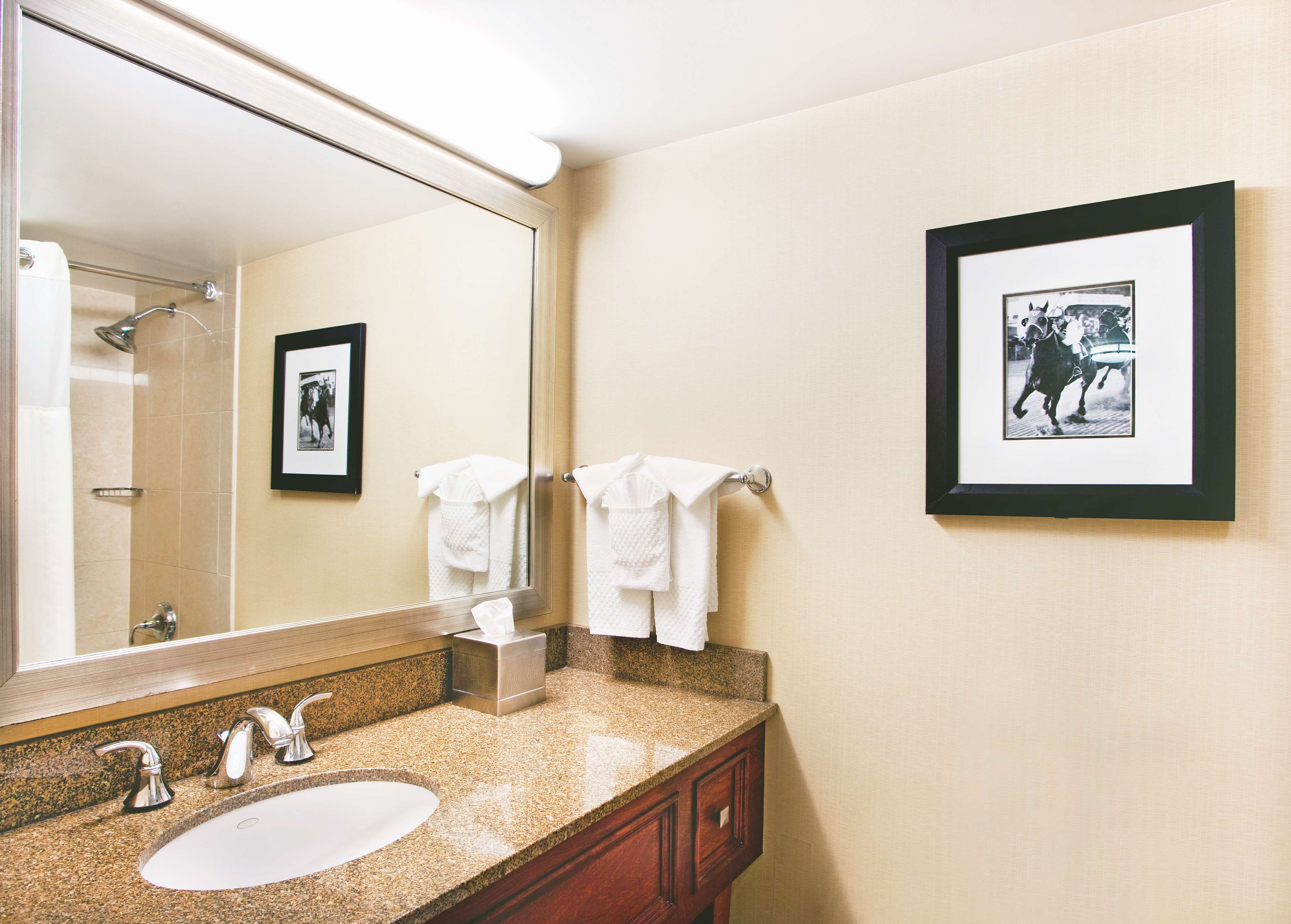 Guest room bath