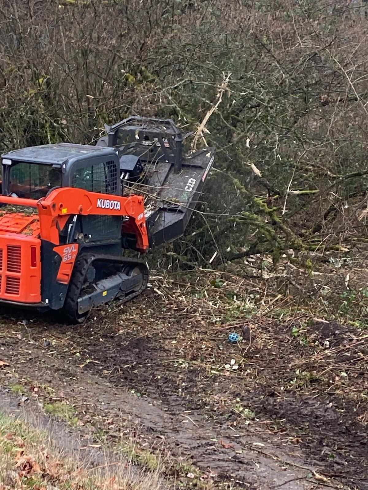 Brush Mulching