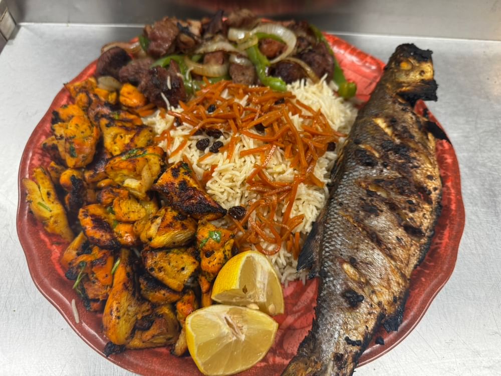 Mediterranean Seabass