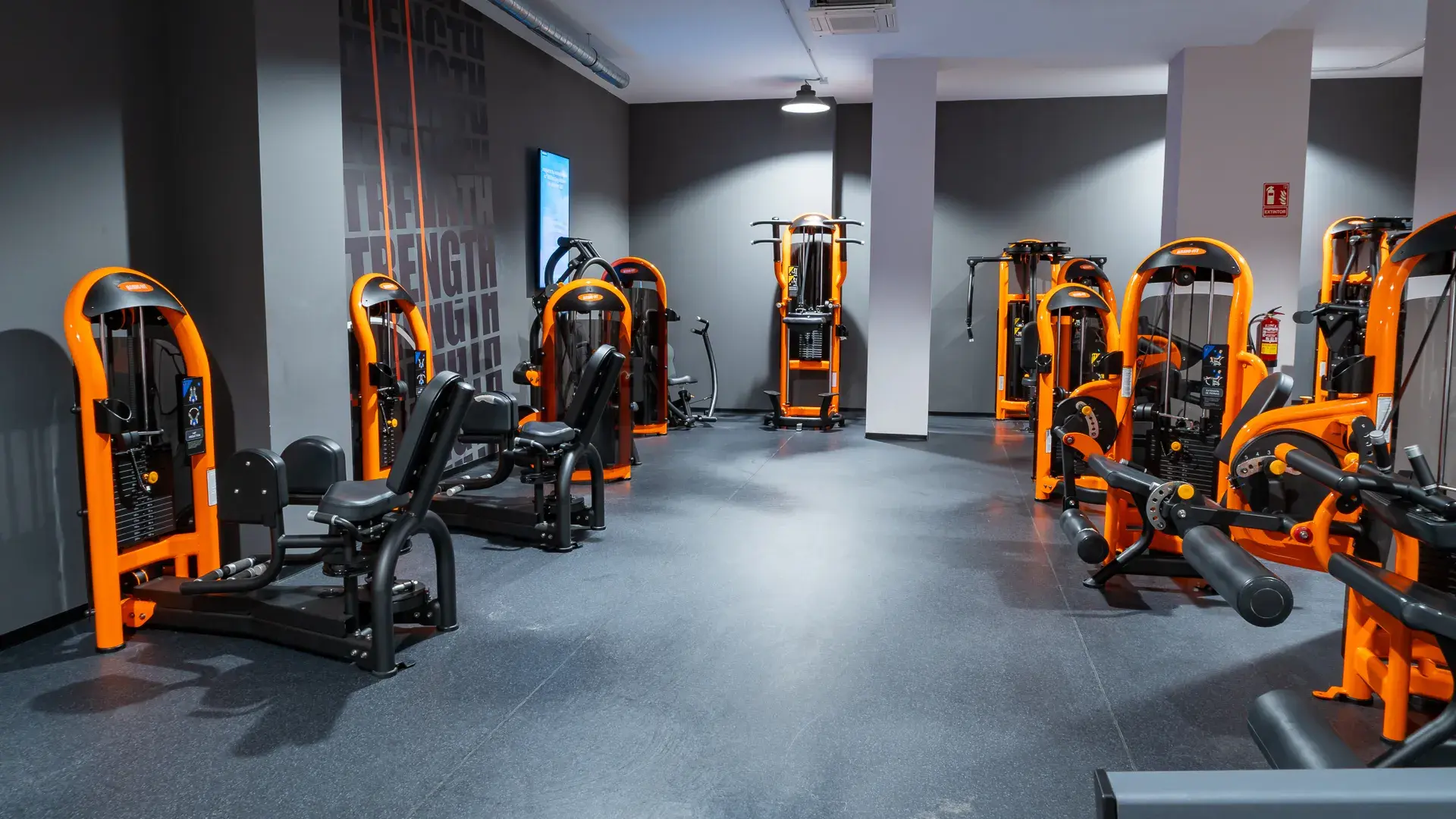 Galería en miniatura