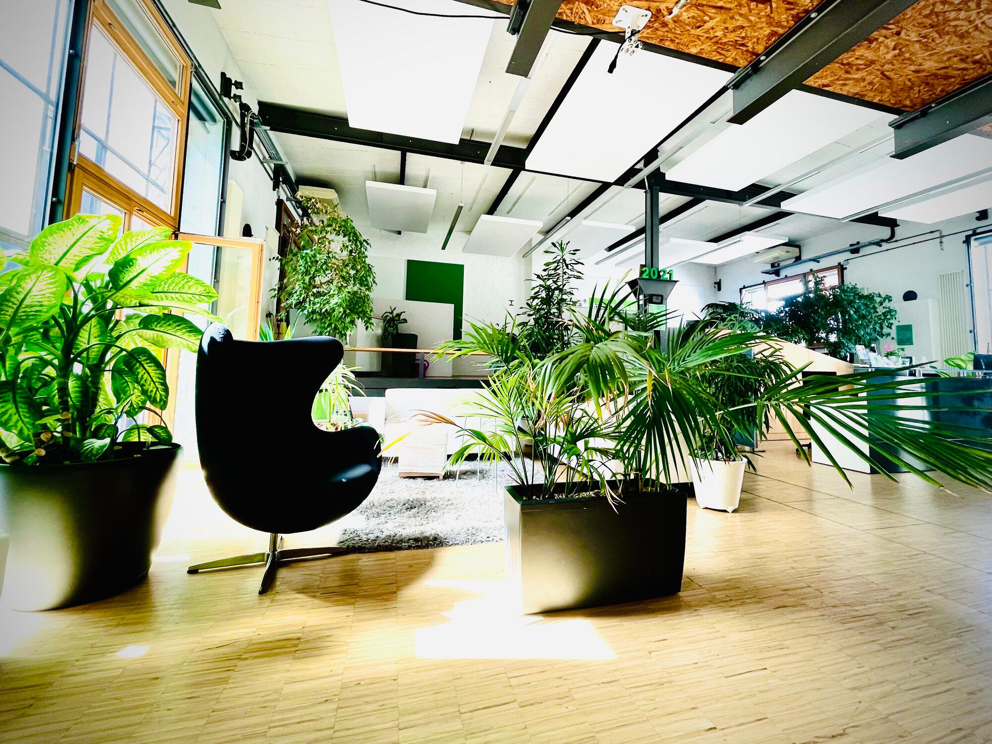 Galerie-Thumbnail