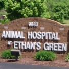 Animal Hospital At Ethan's Green Inc Logo