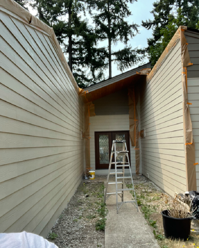 Cover Pro Painting Image