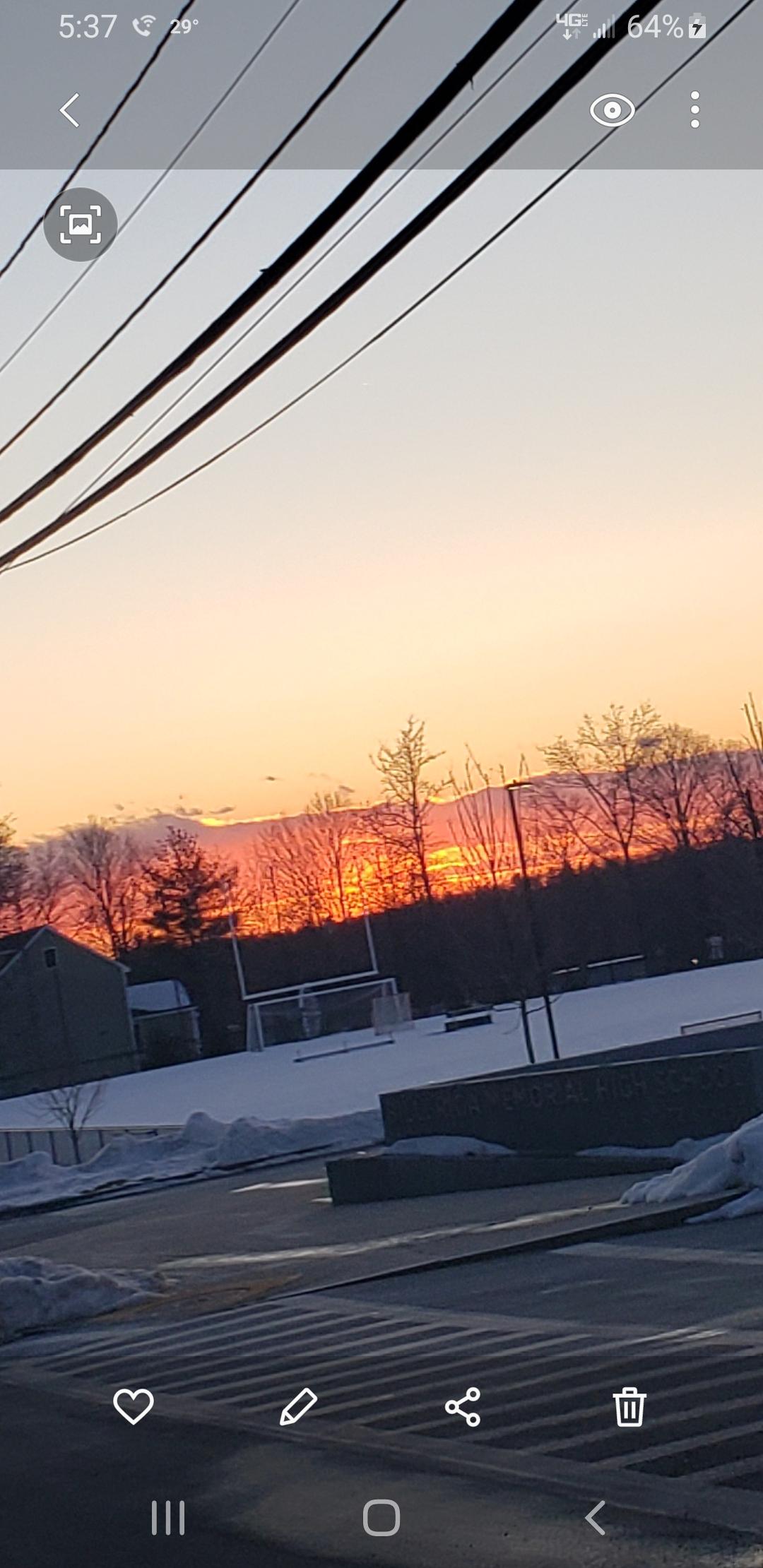 McDonald Tree Service Image