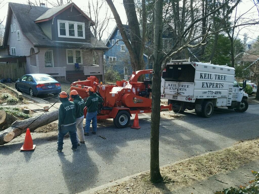 Keil Tree Experts Inc Image