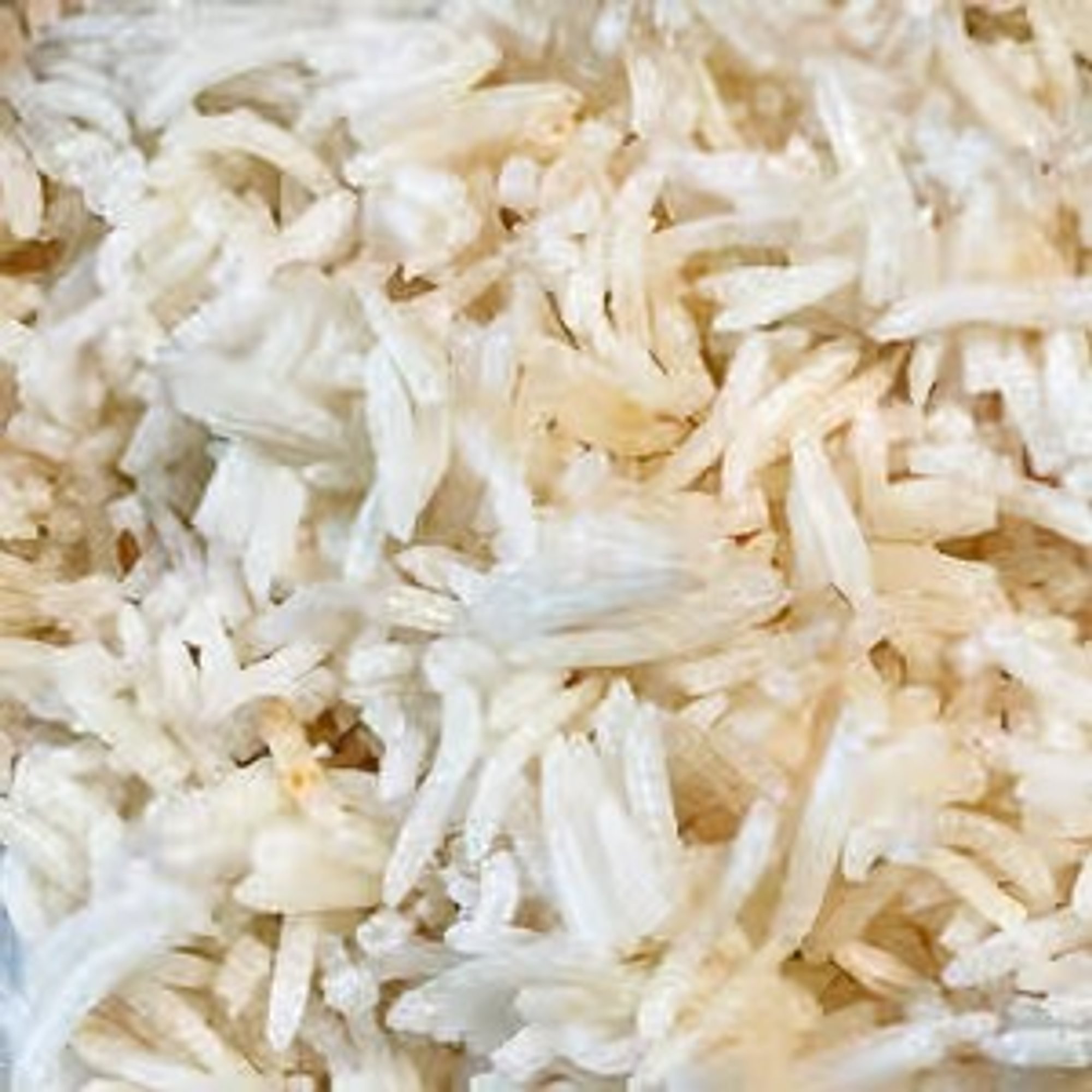 Basmati Rice