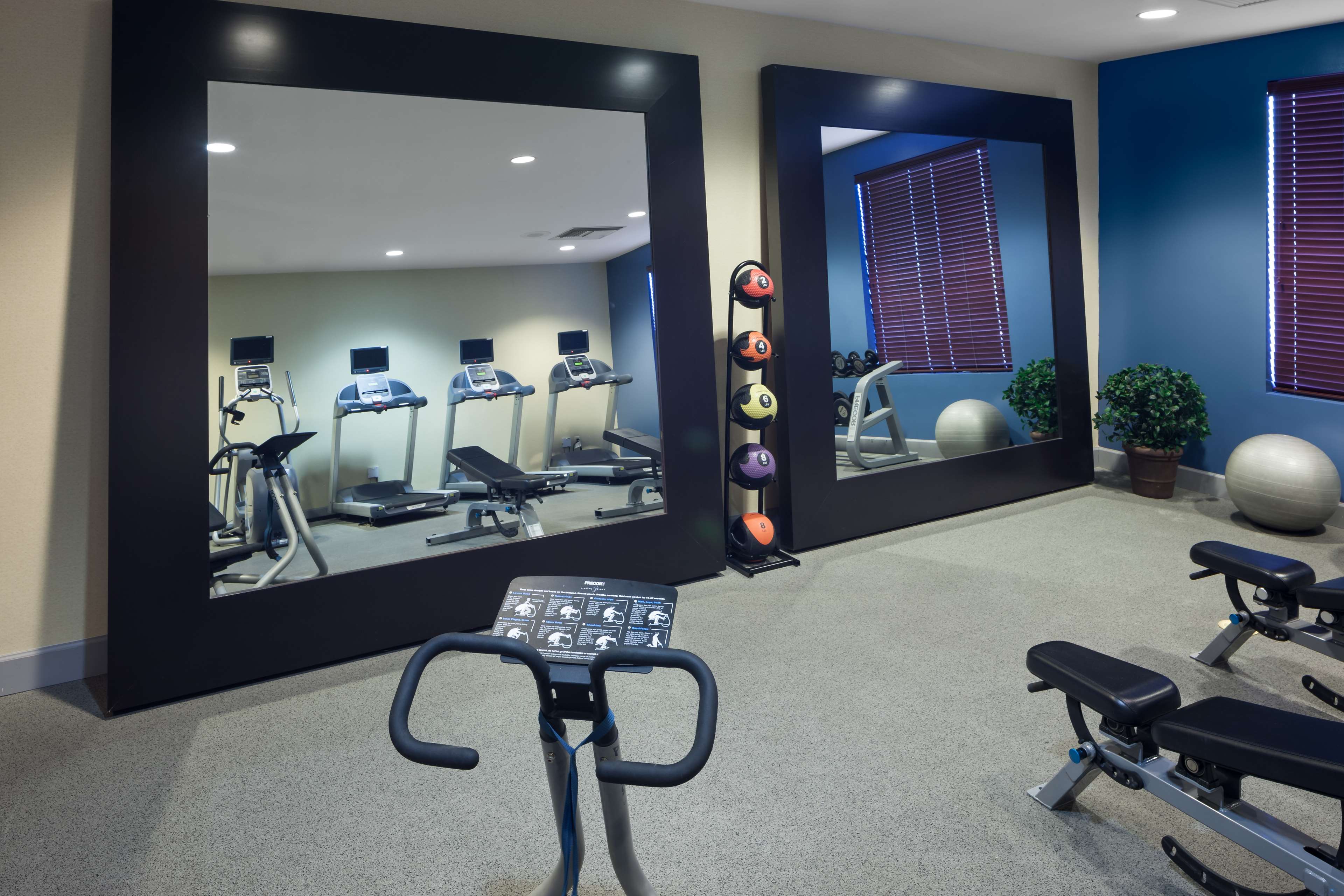 Health club  fitness center  gym