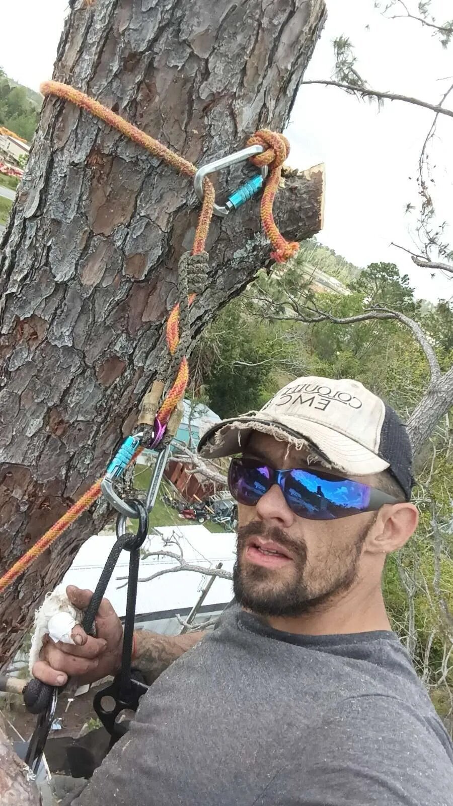 Tilman Tree Service Image