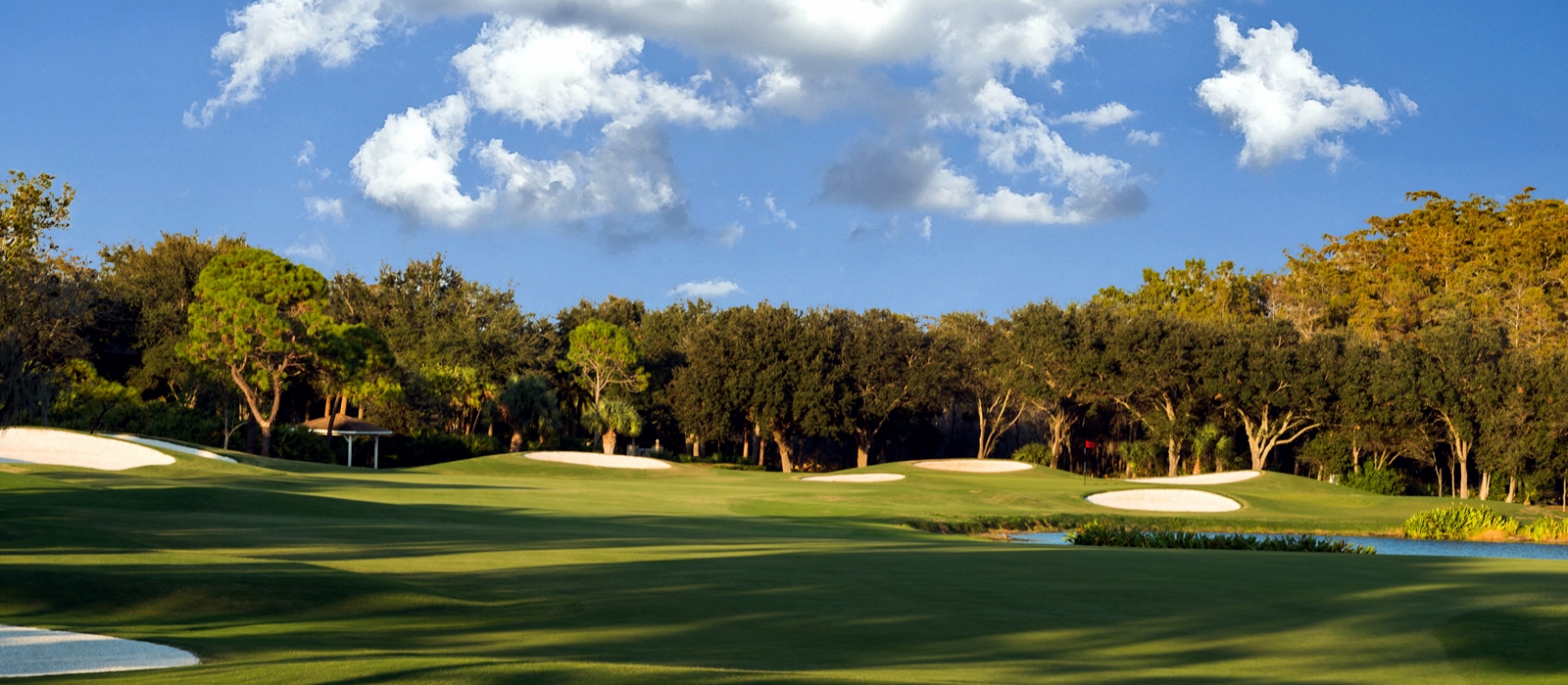 Pelican's Nest Golf Club at Pelican Landing Photo