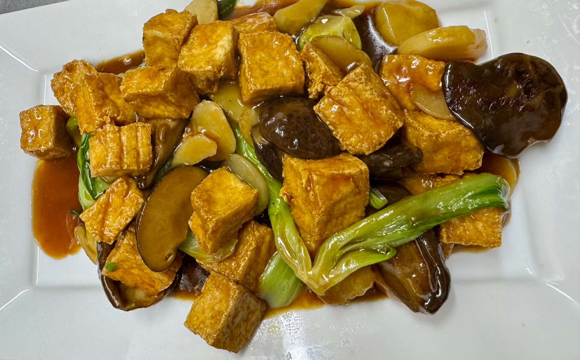 Classic Chinese Braised Tofu