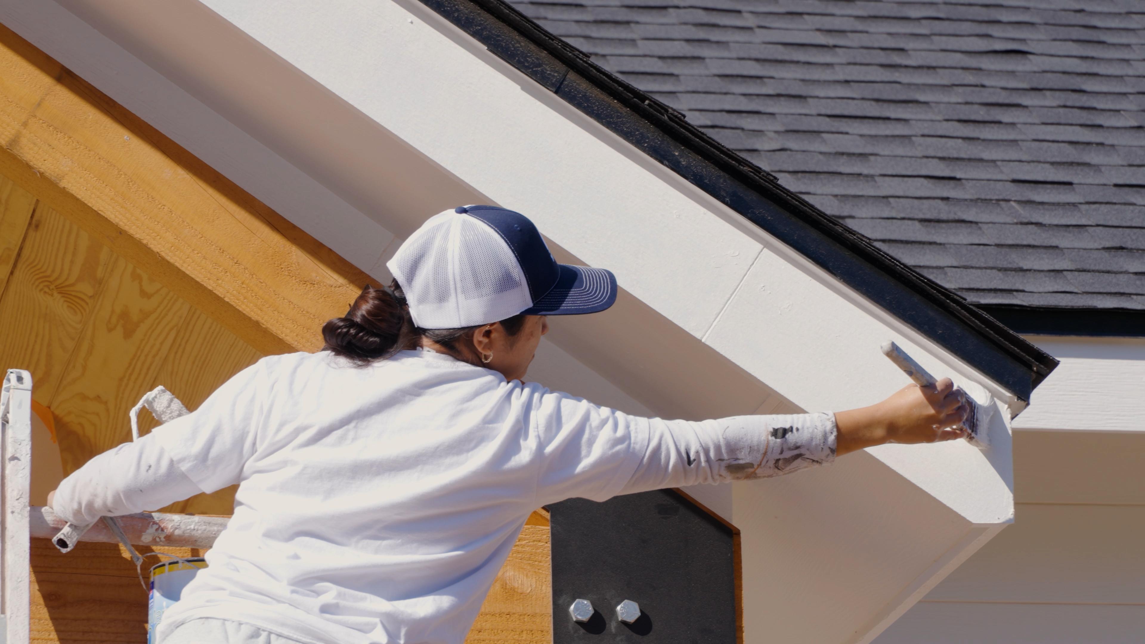 That 1 Painter Loudoun Image