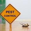 Pest Depot