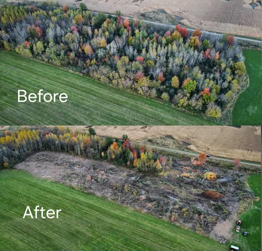 KithTerra Excavating Image