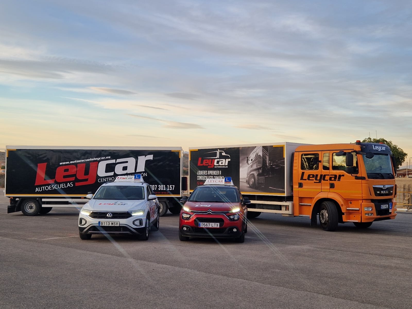 Galería en miniatura