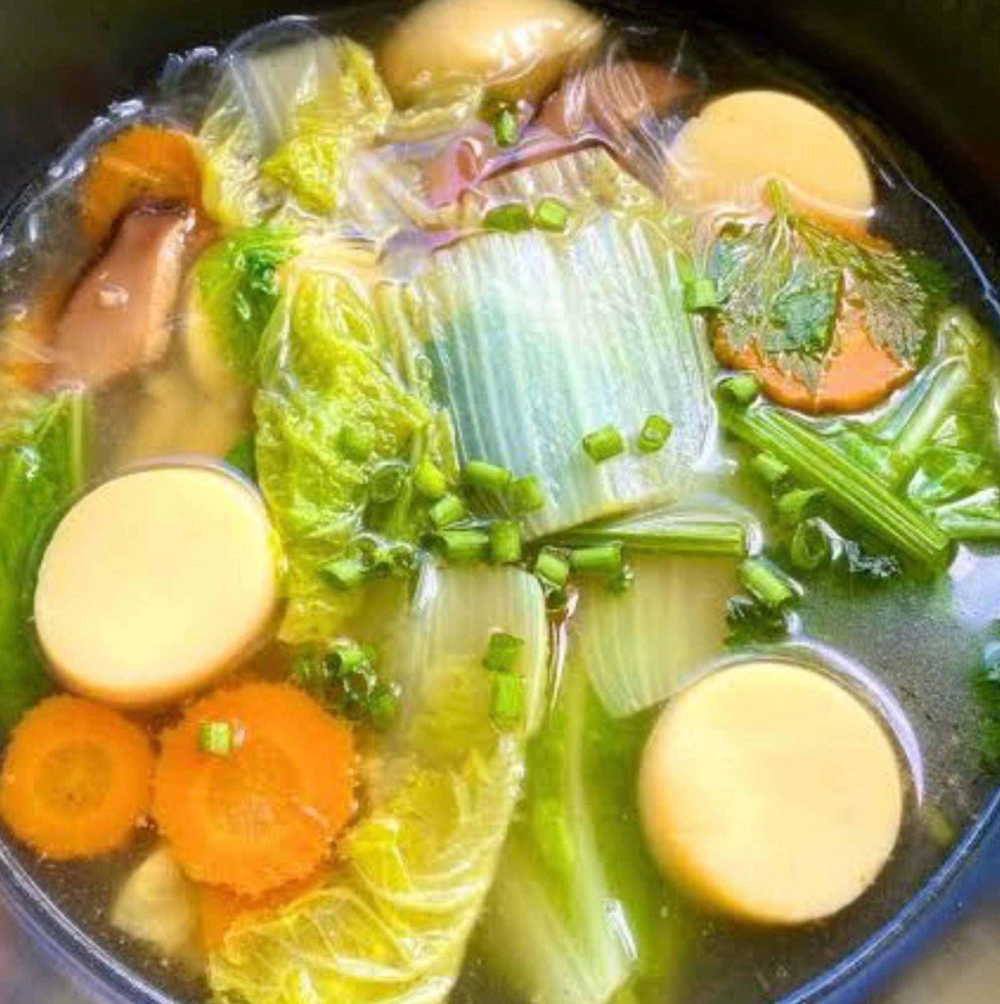 Vegetable Soup