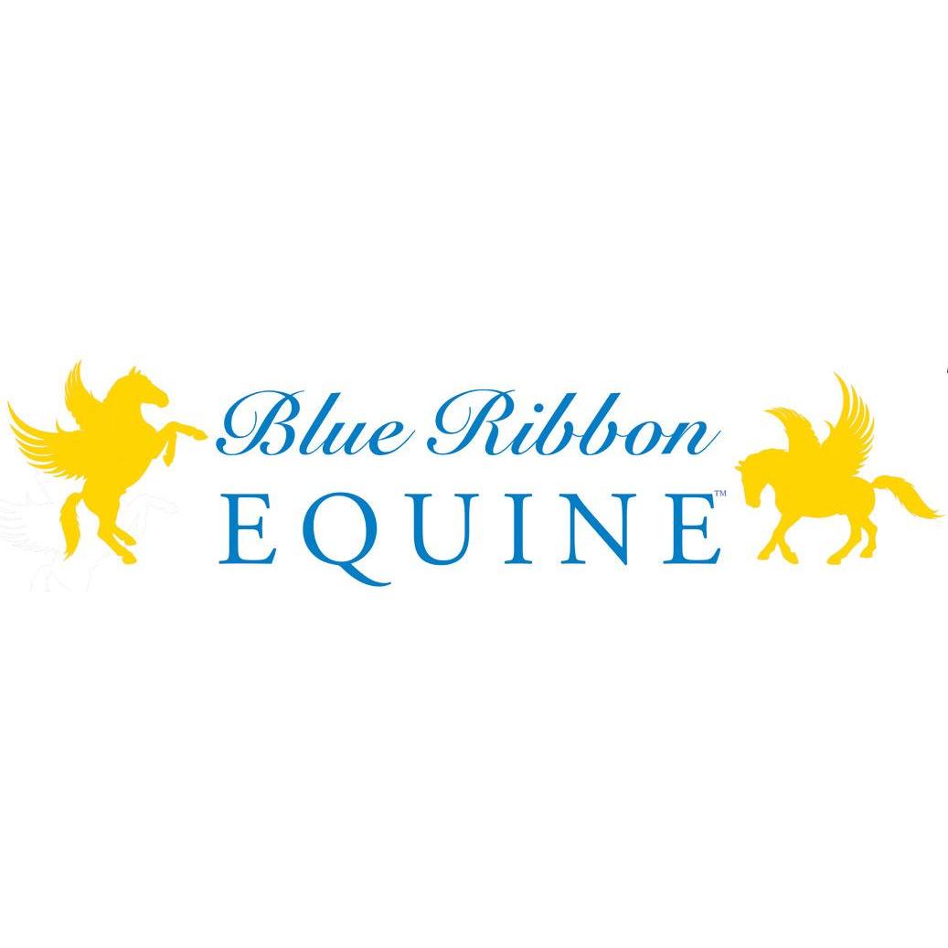 Blue Ribbon Equine Horse Massage Logo