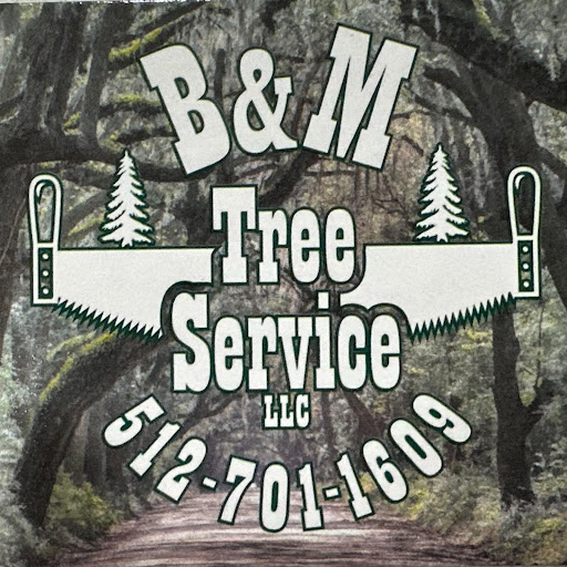 B&M Tree Service