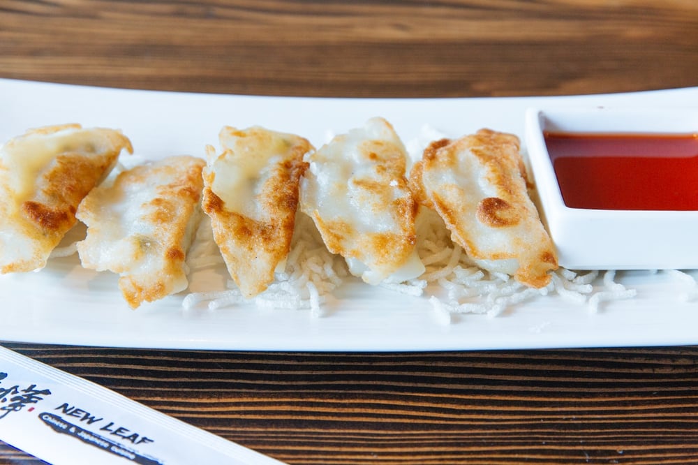 Japanese Gyoza (5)