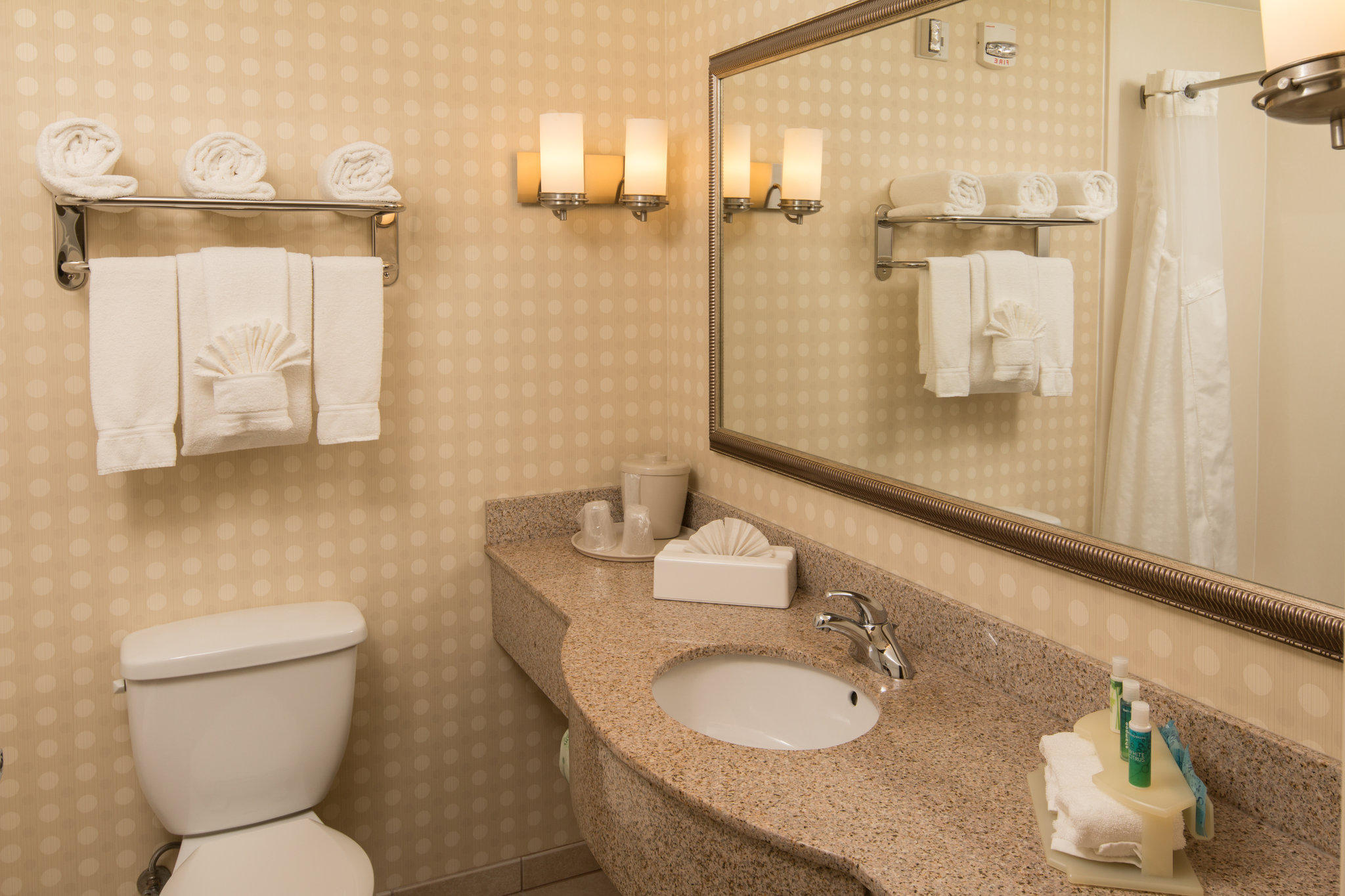 Holiday Inn Express & Suites Greensboro - Airport Area Photo