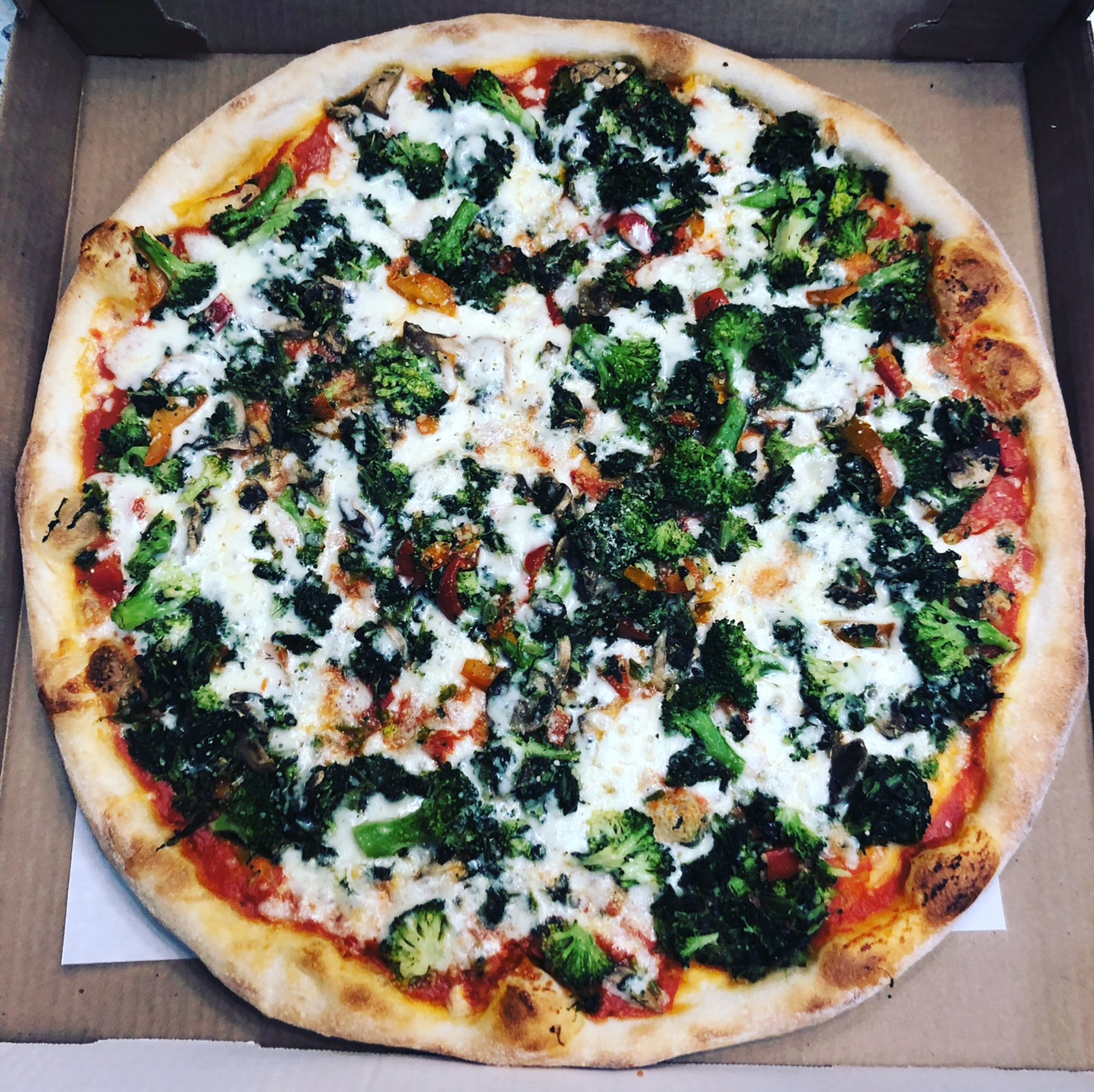 Vegetable Pizza