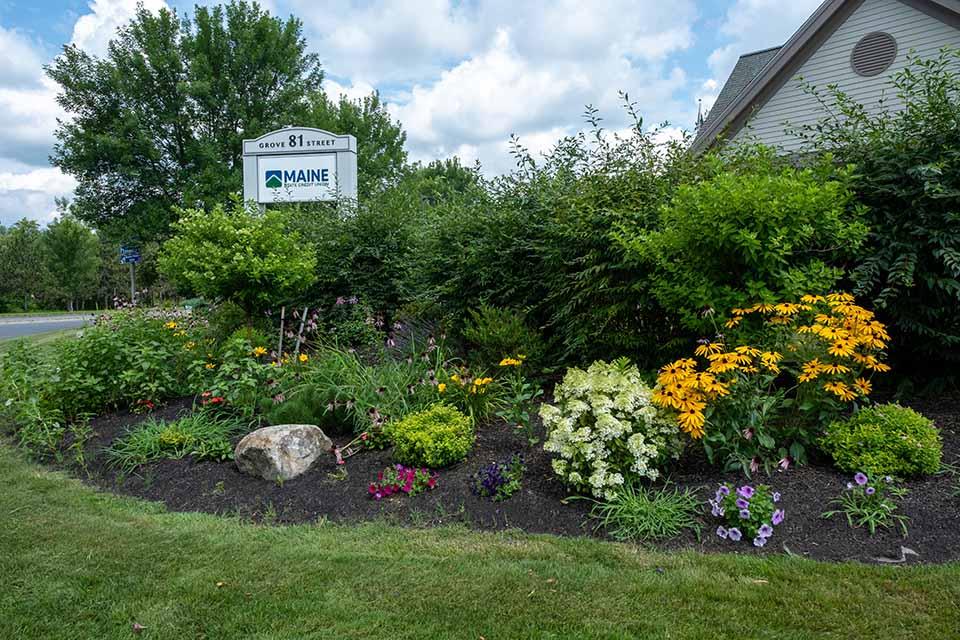 Maine State Credit Union Image