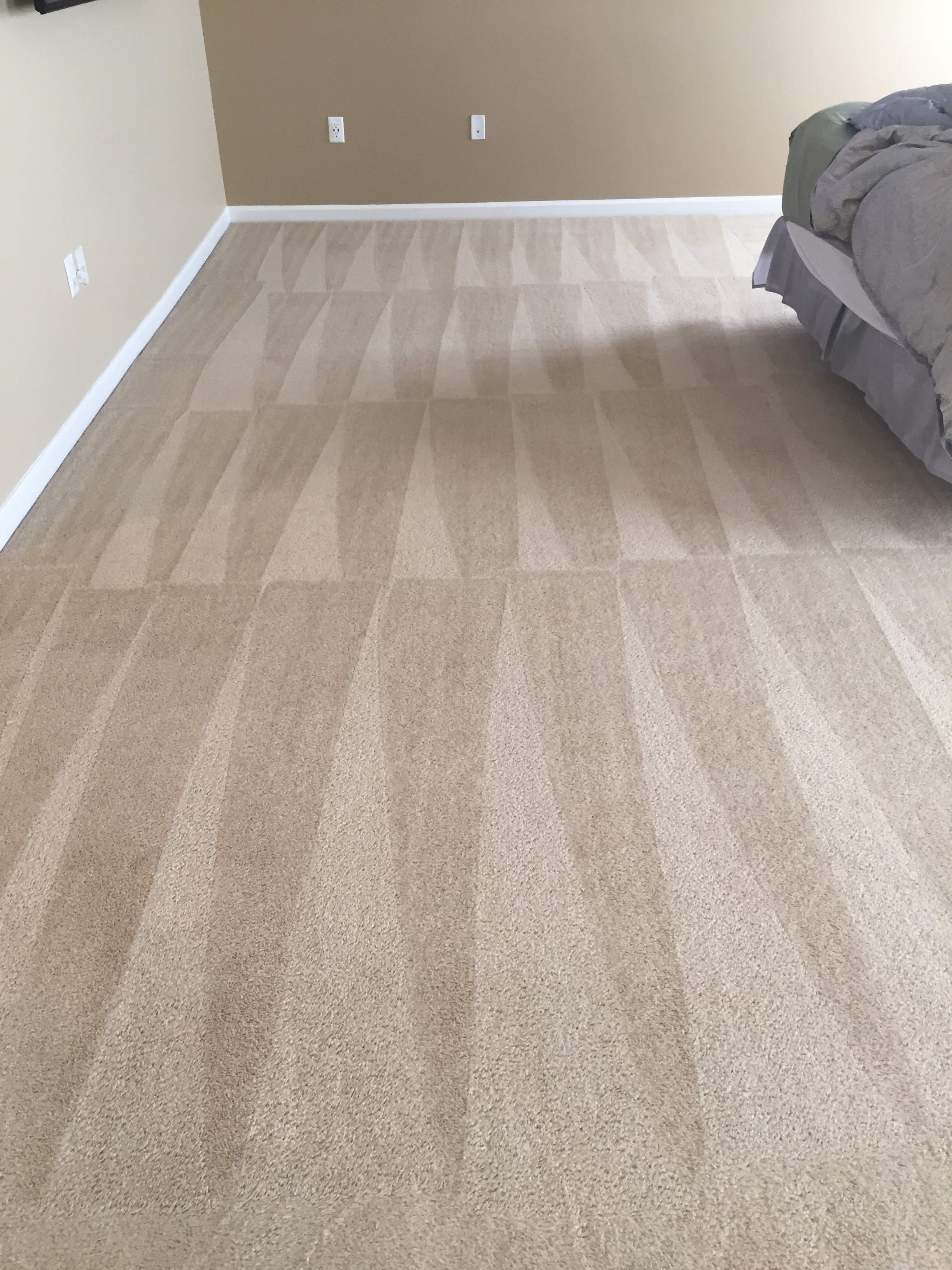 Bestway Carpet & Tile Cleaning Photo