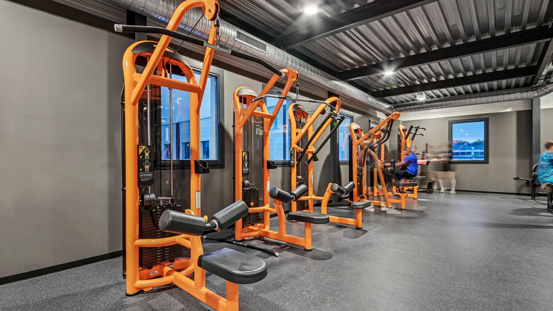 Miniature de la galerie