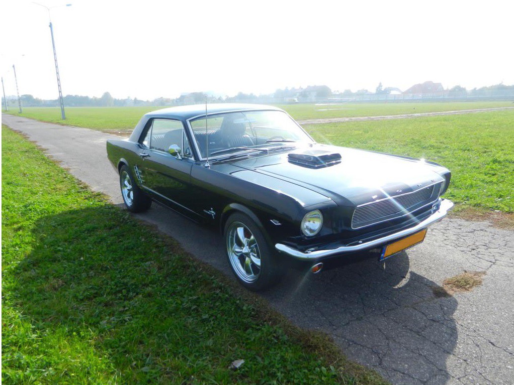 Images Stajnia Mustangów