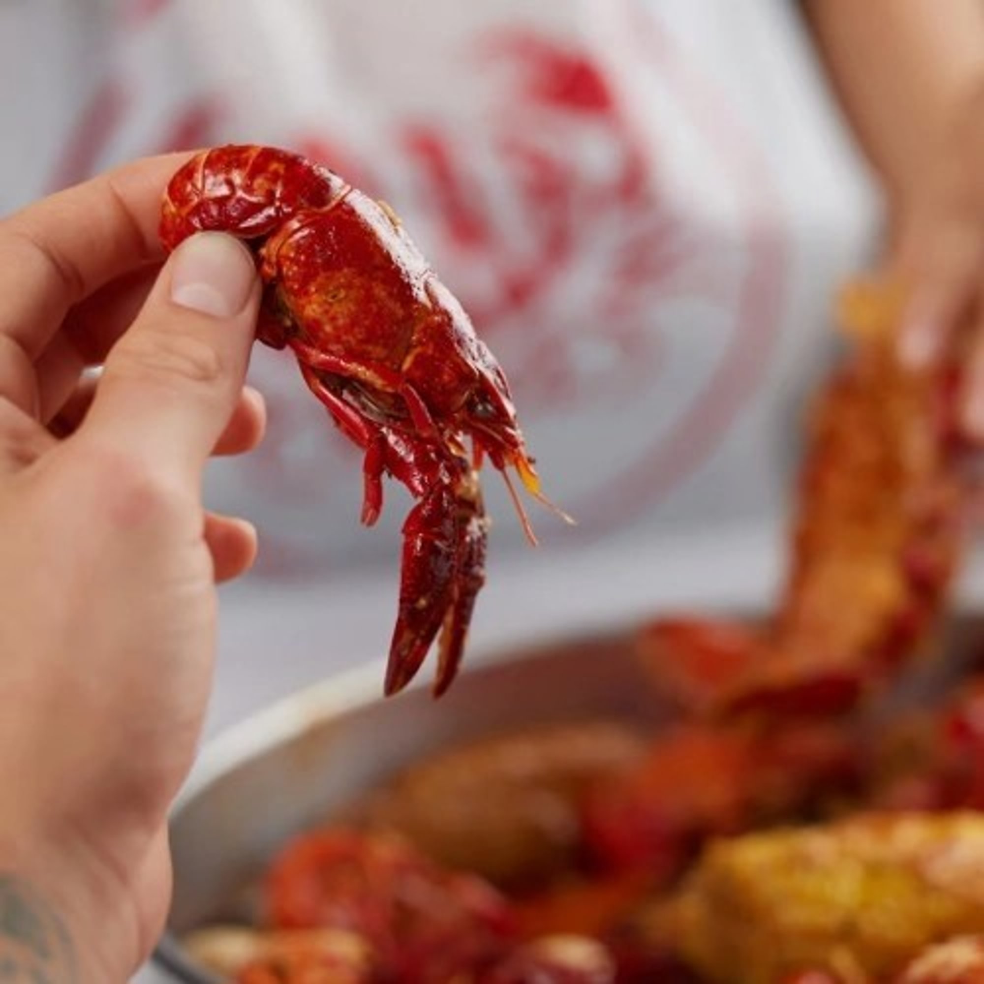 Crawfish