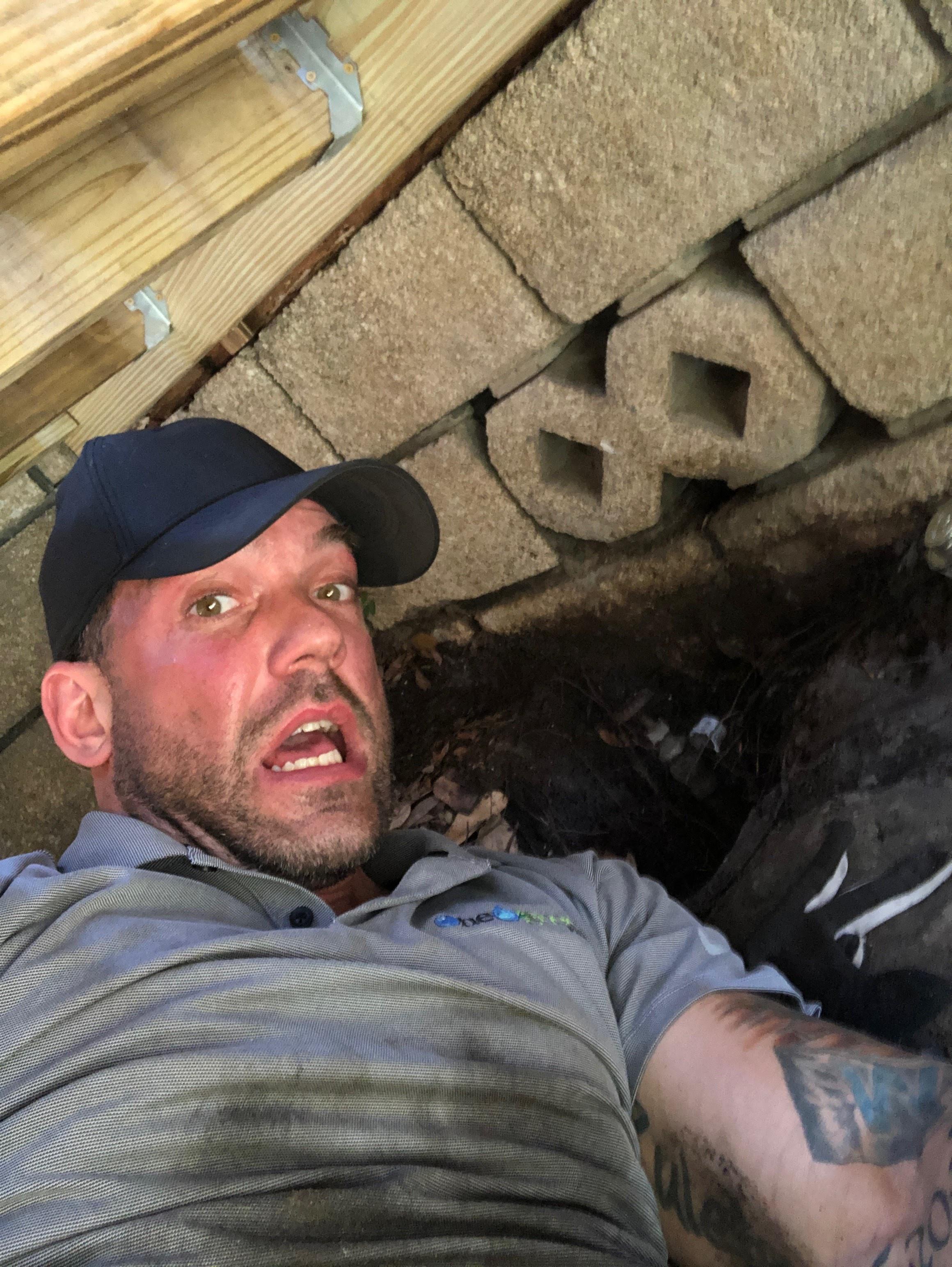 OneGreenFilter - Water Purification Experts Image