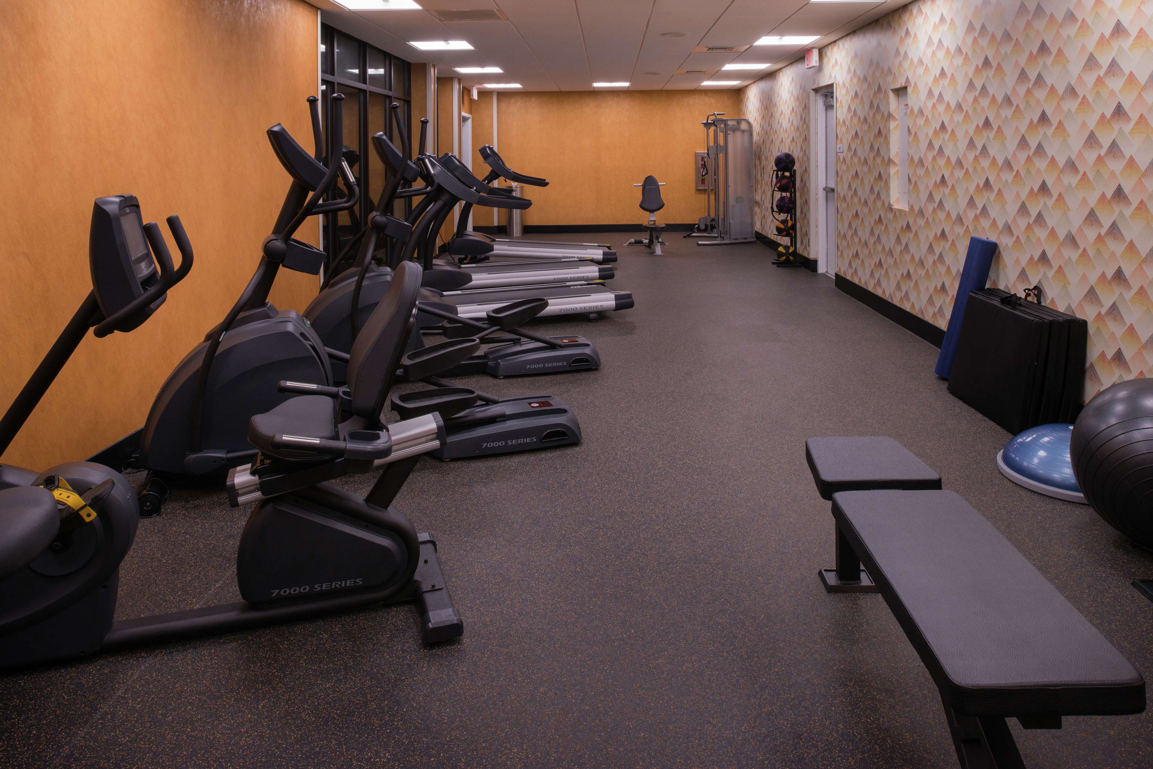 Health club  fitness center  gym