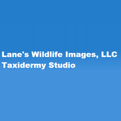 Lane's Wildlife Images, LLCTaxidermy Studio