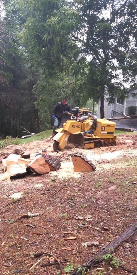 A.P.R. Tree Service