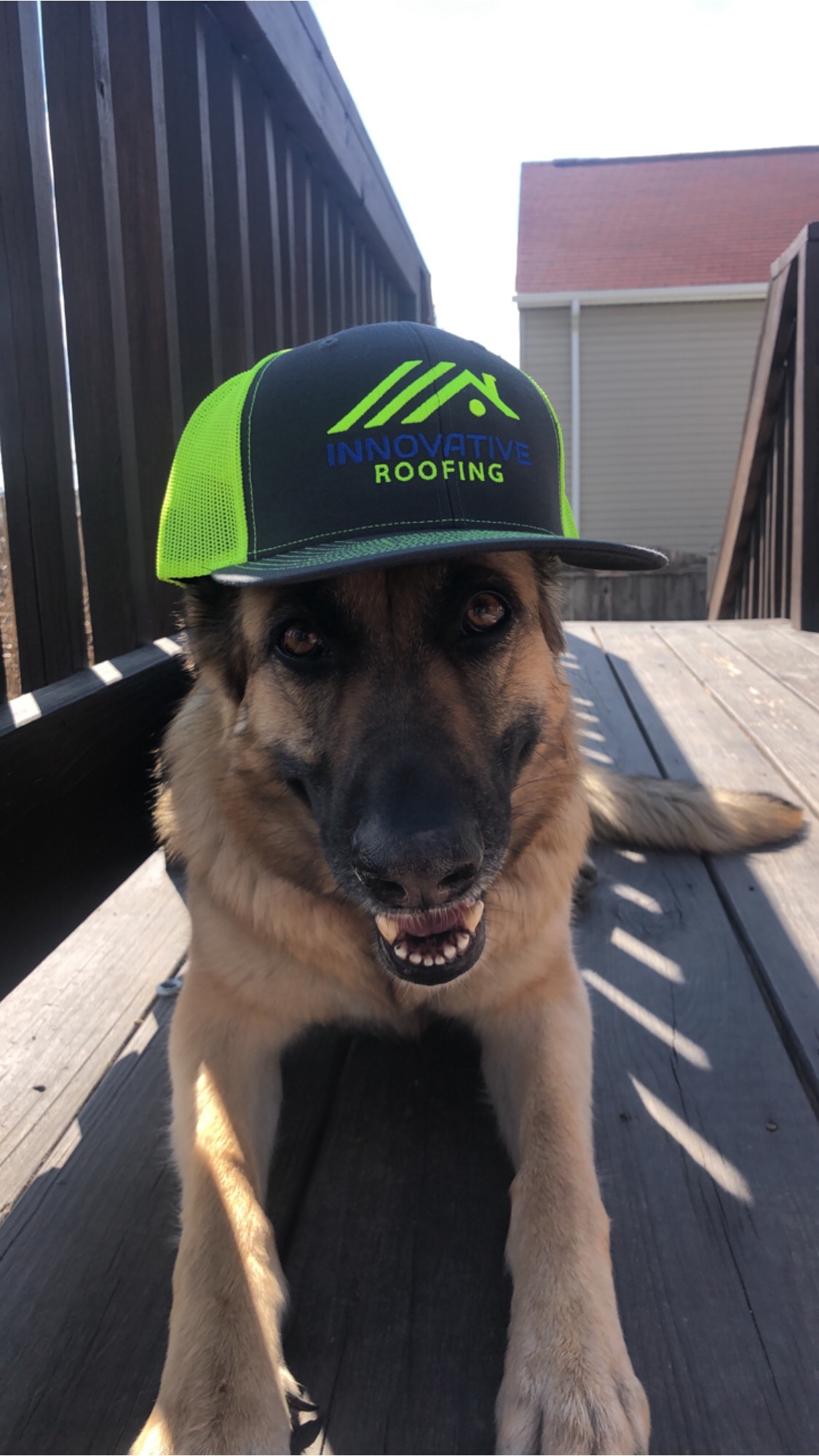 Innovative Roofing Image